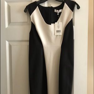 Robert Rodriguez black and cream sheath dress.